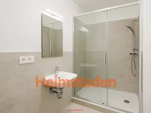 Pronájem bytu 1+1, Ostrava - Zábřeh, Tylova, 40 m2