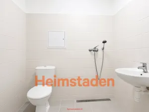 Pronájem bytu 1+1, Ostrava - Poruba, Dělnická, 27 m2