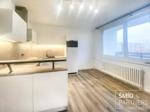 Pronájem bytu 1+1, Praha - Chodov, Bachova, 31 m2