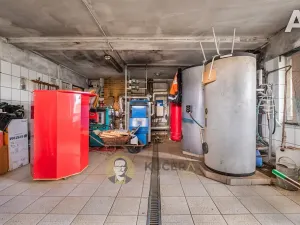 Prodej komerční nemovitosti, Velká Chmelištná, 550 m2