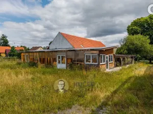 Prodej komerční nemovitosti, Velká Chmelištná, 550 m2