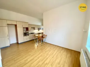 Pronájem bytu 3+1, Opava - Předměstí, Stojanova, 133 m2