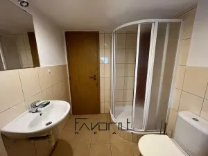 Pronájem bytu 1+1, Ostrava, Korunní, 53 m2