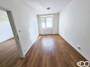 Pronájem bytu 2+kk, Praha, Kryšpínova, 59 m2