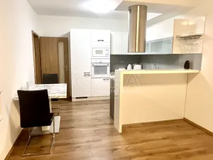 Pronájem bytu 2+kk, Plzeň - Bolevec, U Velkého rybníka, 58 m2