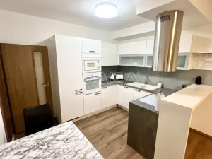 Pronájem bytu 2+kk, Plzeň - Bolevec, U Velkého rybníka, 58 m2