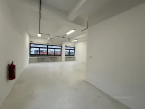 Pronájem kanceláře, Brno - Veveří, Cihlářská, 93 m2