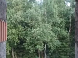 Prodej rodinného domu, Jestřabí v Krkonoších, 420 m2