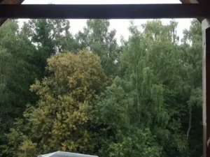 Prodej rodinného domu, Jestřabí v Krkonoších, 420 m2