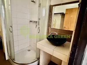 Prodej rodinného domu, Všemina, 173 m2