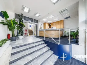 Pronájem kanceláře, Olomouc, Karolíny Světlé, 80 m2