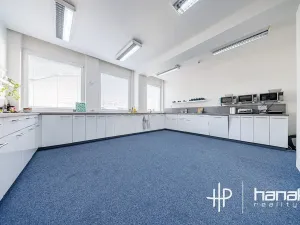 Pronájem kanceláře, Olomouc, Karolíny Světlé, 50 m2