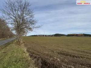 Prodej komerčního pozemku, Vlachovo Březí, Pražská, 1002 m2