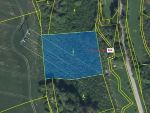 Dražba lesa, Vysoké Mýto, 4766 m2