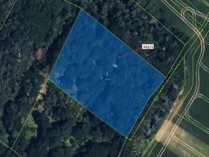 Dražba lesa, Přemyslovice, 7049 m2