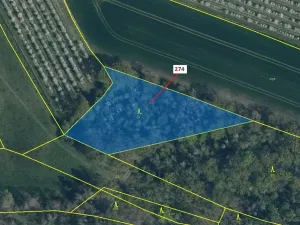 Dražba lesa, Jeviněves, 4557 m2