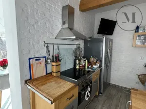 Prodej rodinného domu, Nová Ves, 480 m2