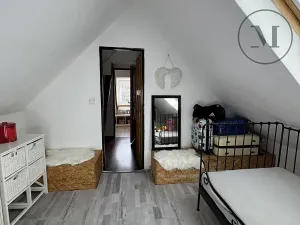 Prodej rodinného domu, Nová Ves, 480 m2
