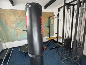 Prodej rodinného domu, Nová Ves, 480 m2