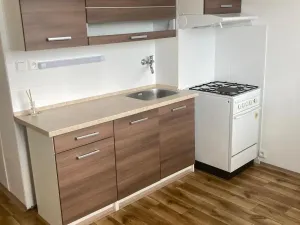 Prodej bytu 1+1, Ústí nad Labem - Severní Terasa, Stavbařů, 42 m2