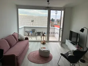 Pronájem bytu 1+kk, Ostrava - Slezská Ostrava, U Hájenky, 34 m2