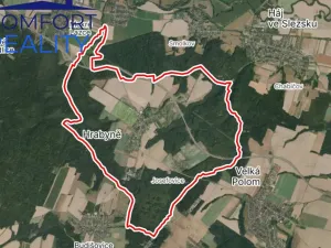 Prodej lesa, Hrabyně, 4993 m2