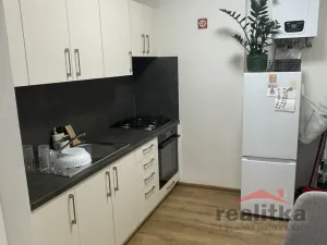 Pronájem bytu 1+1, Opava, Ostrožná, 36 m2