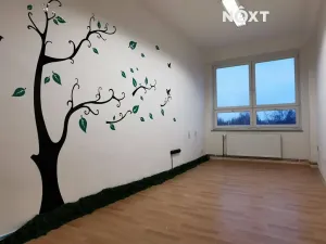 Pronájem kanceláře, České Budějovice, K. Světlé, 17 m2