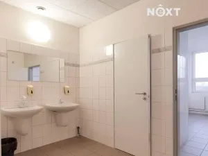 Pronájem kanceláře, České Budějovice, K. Světlé, 17 m2