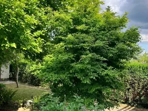 Prodej rodinného domu, Praha - Břevnov, Haberfeldova, 189 m2