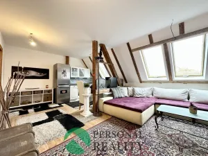 Prodej bytu 5+kk, Litvínov - Horní Litvínov, S. K. Neumanna, 216 m2