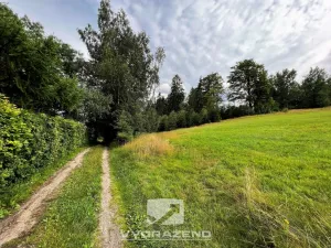 Prodej louky, Lučany nad Nisou, 618 m2