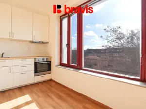 Pronájem bytu 1+kk, Brno, Francouzská, 22 m2
