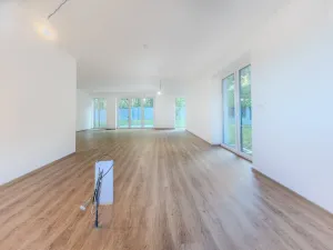 Prodej rodinného domu, Plzeň, 249 m2