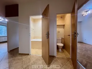 Prodej bytu 2+1, Brno, Podlesí, 53 m2