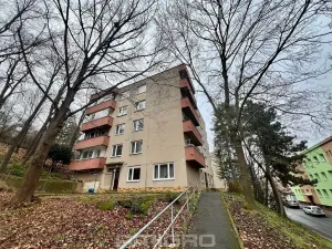 Prodej bytu 2+1, Brno, Podlesí, 53 m2