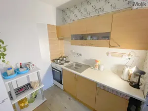 Prodej bytu 2+kk, Litvínov - Hamr, Přátelství, 40 m2