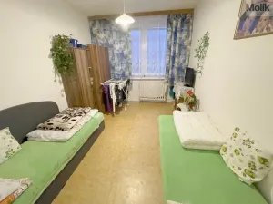 Prodej bytu 2+kk, Litvínov - Hamr, Přátelství, 40 m2