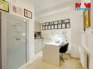 Pronájem obchodního prostoru, Plzeň - Severní Předměstí, Pod Všemi svatými, 12 m2