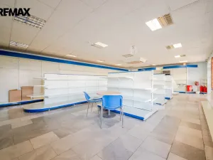 Prodej komerční nemovitosti, Rataje nad Sázavou, 200 m2