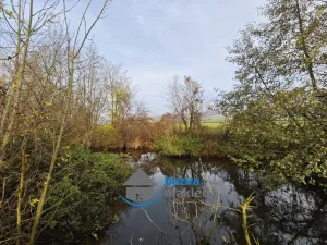 Prodej komerční nemovitosti, Sobčice, 36 m2