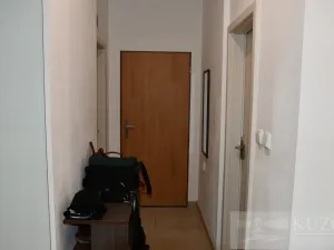 Pronájem bytu 2+kk, Plzeň, Dvořákova, 53 m2