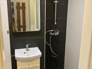 Pronájem bytu 1+kk, Ostrava - Hrabůvka, Krakovská, 22 m2