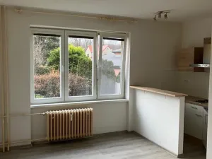 Pronájem bytu 1+kk, Ostrava - Hrabůvka, Krakovská, 22 m2