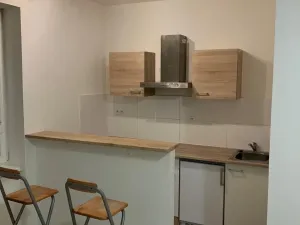 Pronájem bytu 1+kk, Ostrava - Hrabůvka, Krakovská, 22 m2