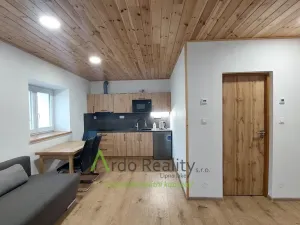 Pronájem bytu 1+kk, Loučovice, 40 m2