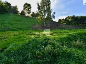 Prodej pozemku pro bydlení, Police nad Metují, U Lesovny, 6515 m2