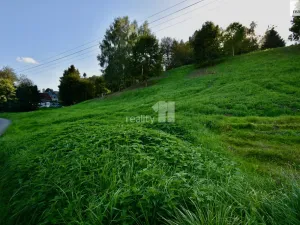 Prodej pozemku pro bydlení, Police nad Metují, U Lesovny, 6515 m2