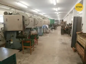 Prodej výrobních prostor, Horní Benešov - Luhy, 1241 m2