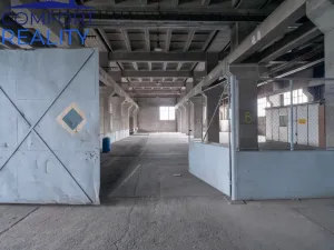 Pronájem skladu, Ostrava - Vítkovice, Halasova, 2914 m2
